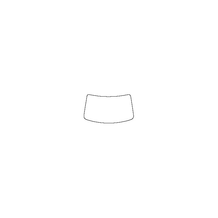 Windshield