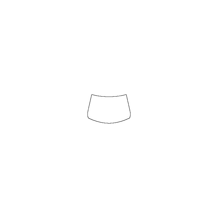 Windshield (outside)