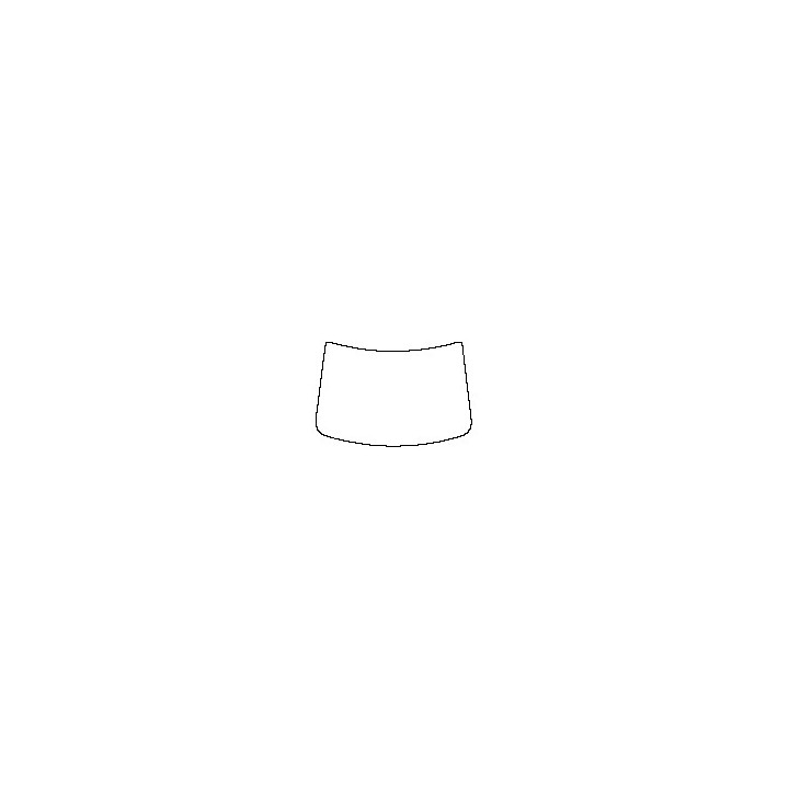 Windshield (inside)