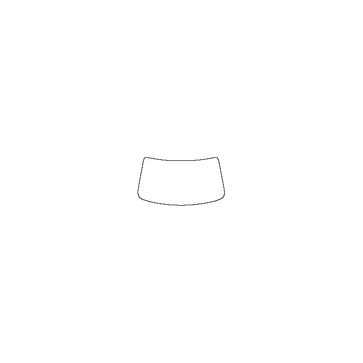Windshield (inside)