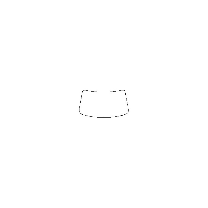 Windshield (inside)