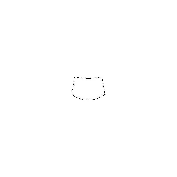 Windshield (outside)