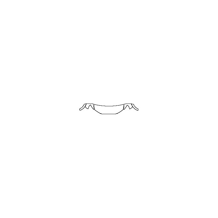 Audi Q3 SUV 2020 - Hood+Fender (One third of Hood + Fender)