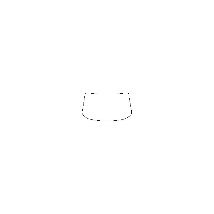 Windshield