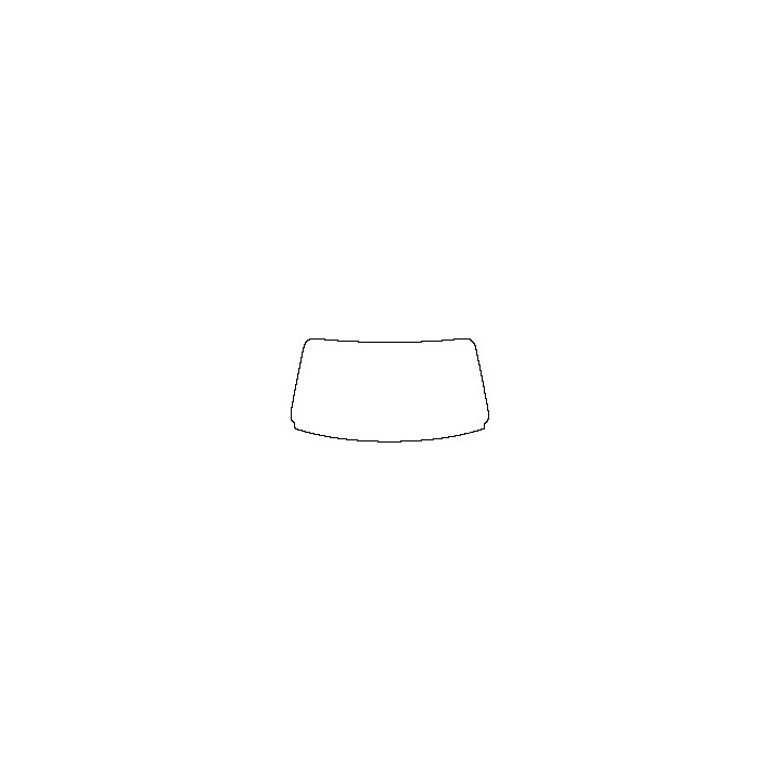 Windshield (inside)
