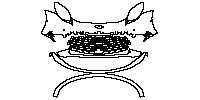 Bumper+Headlamp