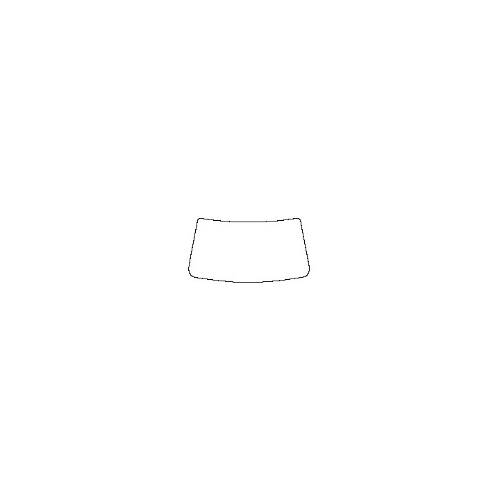 Windshield (inside)