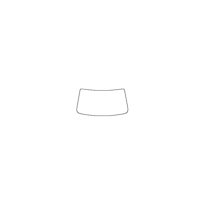 Windshield (inside)