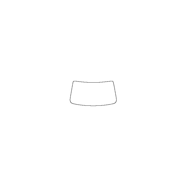 Windshield (inside)