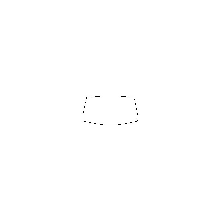 Windshield (inside)