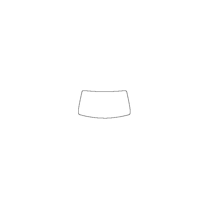 Windshield (inside)