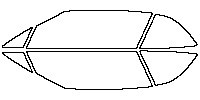 Side Window
