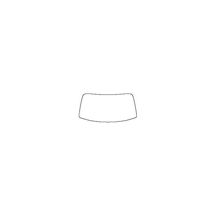 Windshield (inside)