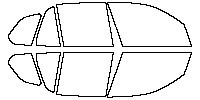 Side Window