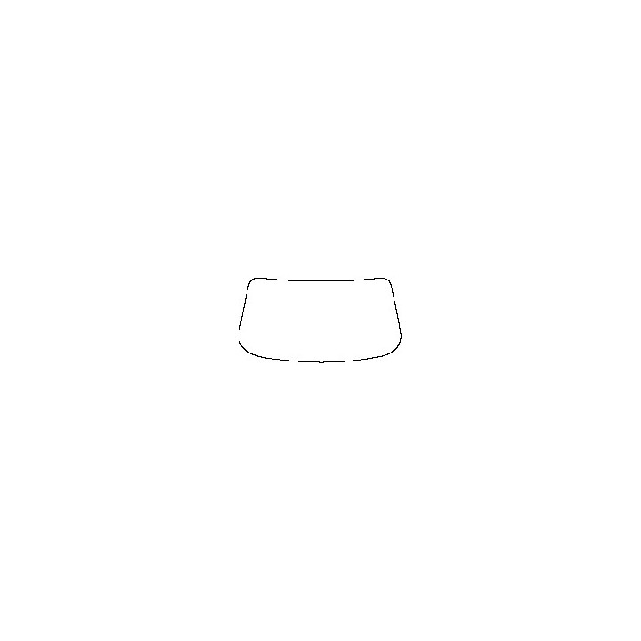 Windshield (inside)