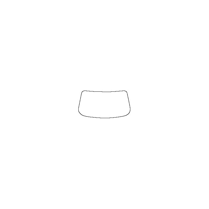 Windshield (inside)