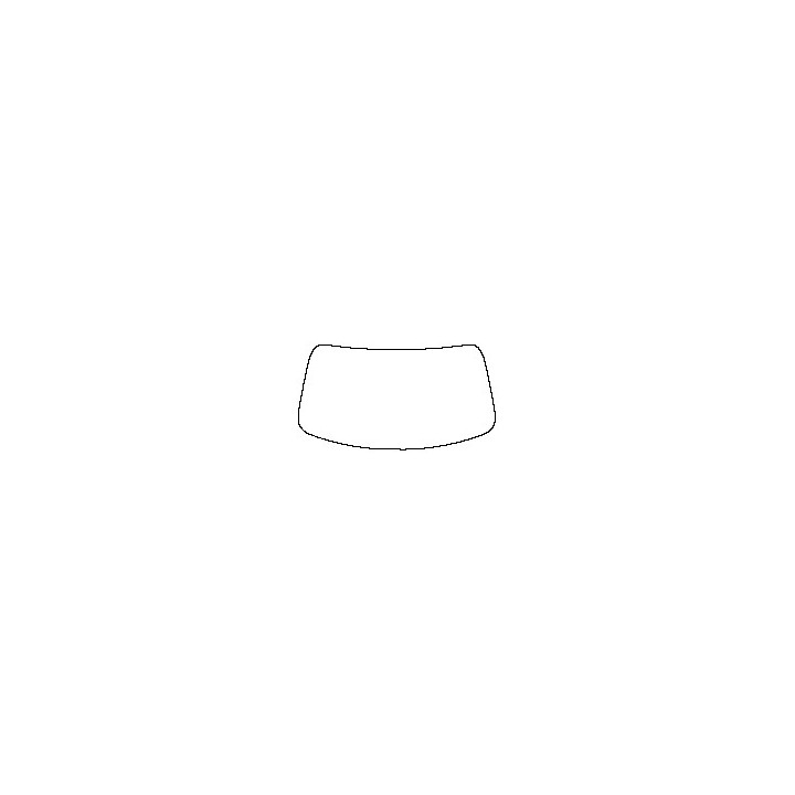 Windshield (inside)