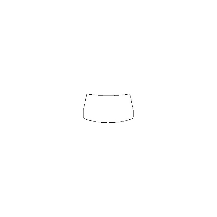 Windshield