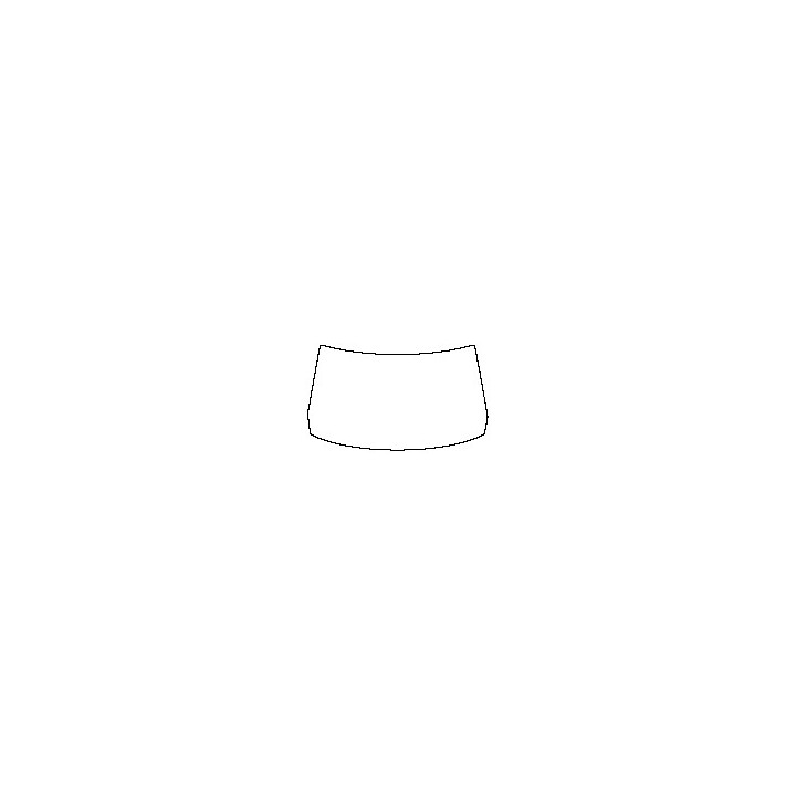Windshield (outside)