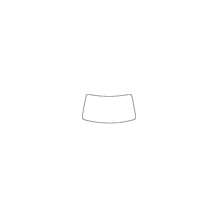 Windshield (inside)