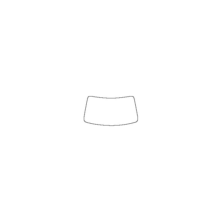 Windshield (inside)