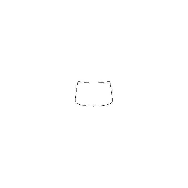 Windshield