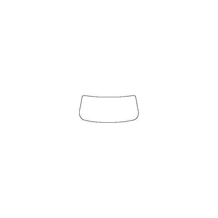 Windshield (inside)