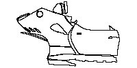 (right) Door+Rear Fender+Side Skirt