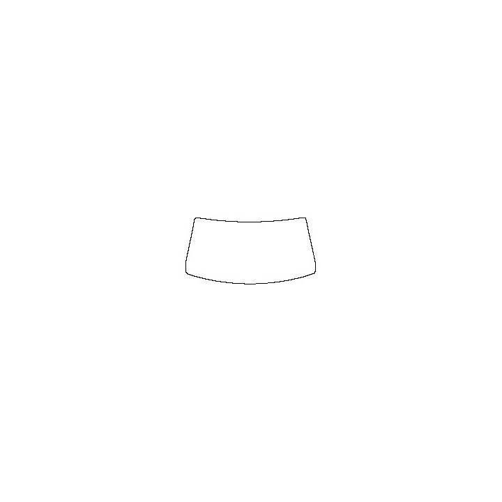 Windshield