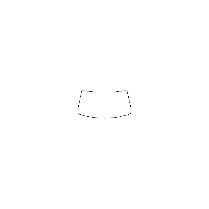 Windshield