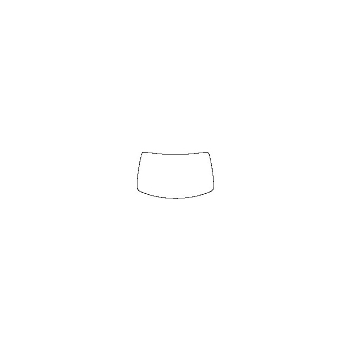 Windshield (inside)