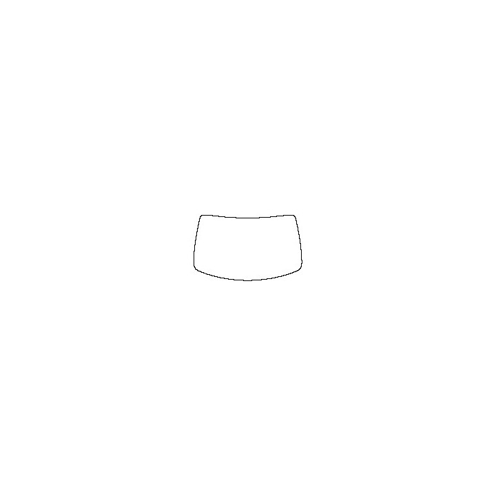 Windshield (inside)