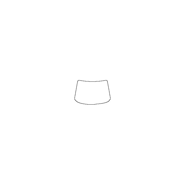 Windshield (outside)