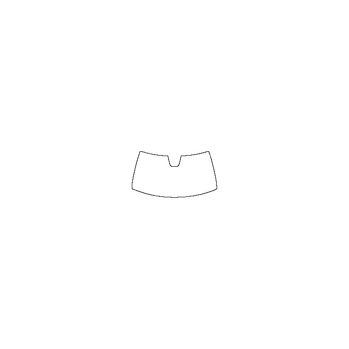 Windshield (inside)