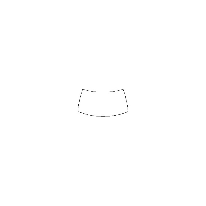 Windshield (inside)