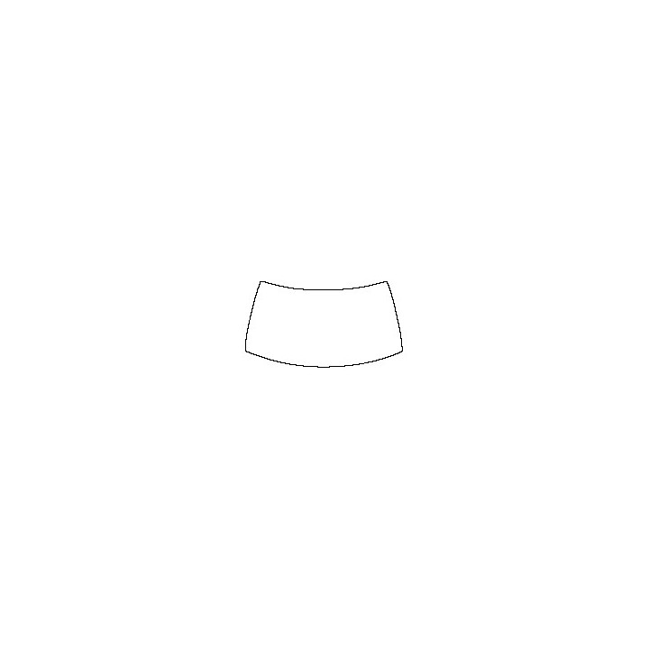 Windshield (inside)