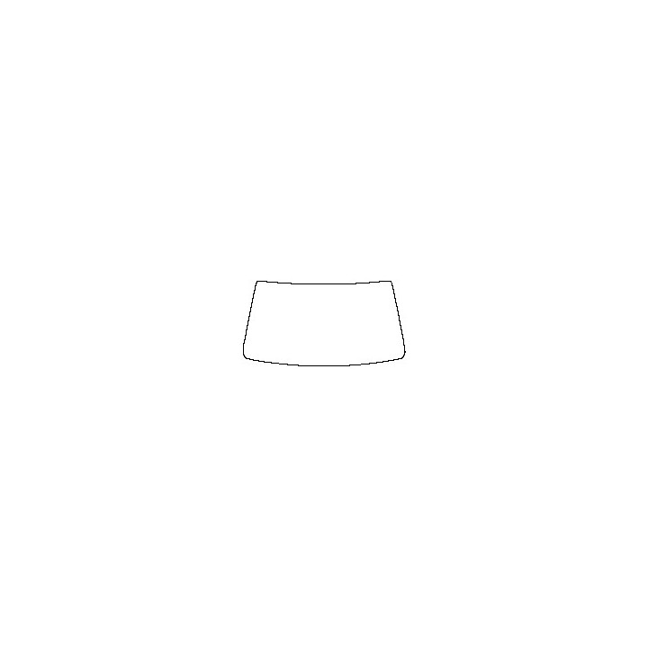 Windshield (inside)