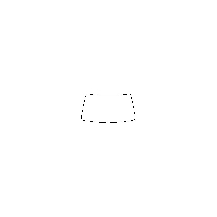 Windshield (inside)