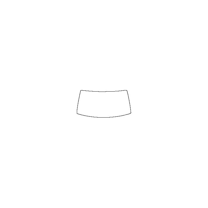 Windshield (inside)