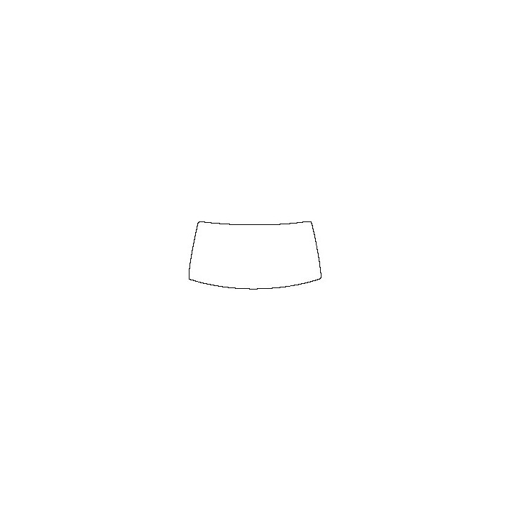 Windshield (inside)