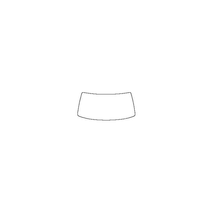 Windshield (inside)