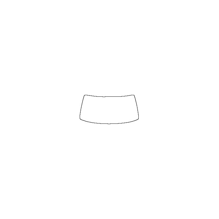 Windshield (inside)