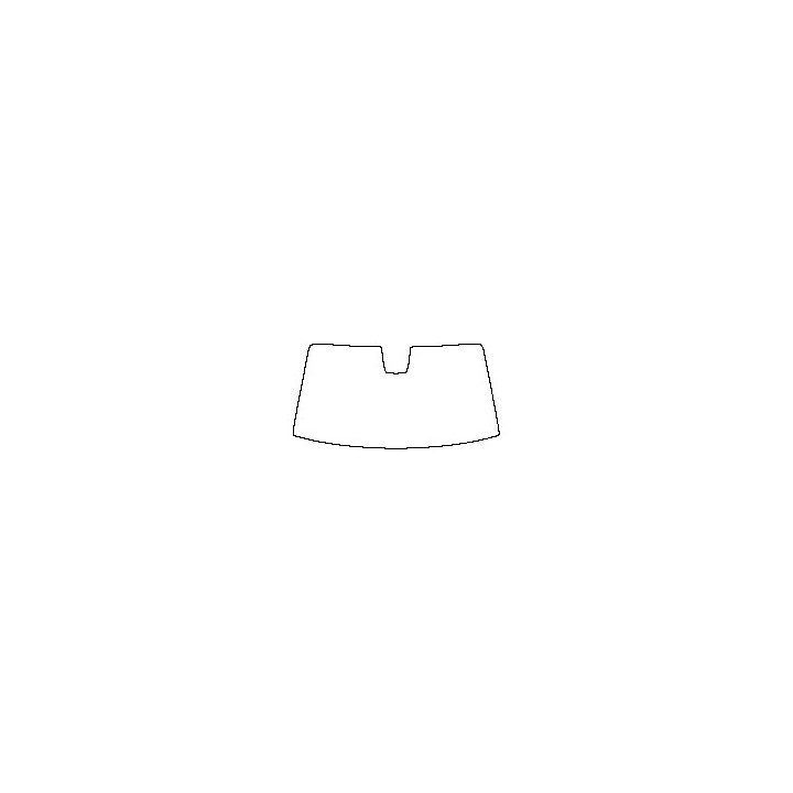 Windshield (inside)