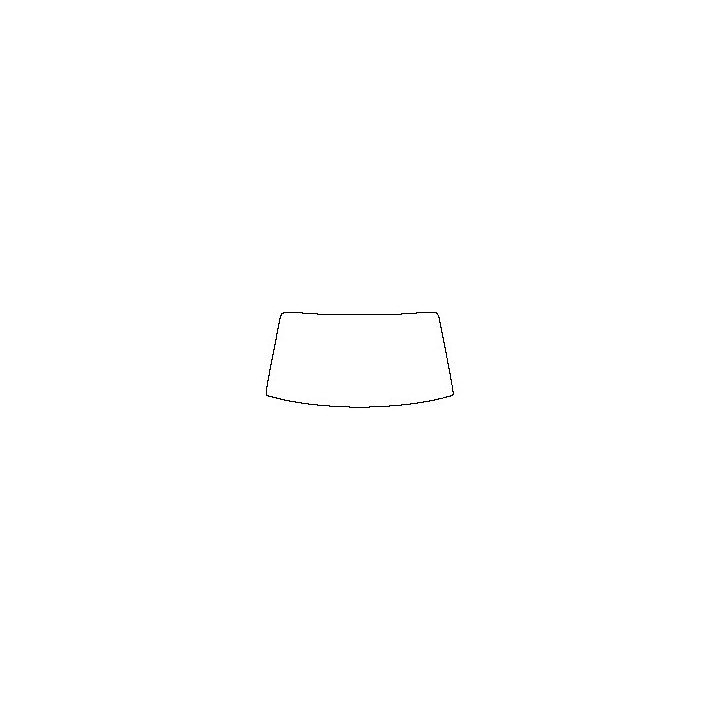 Windshield (inside)