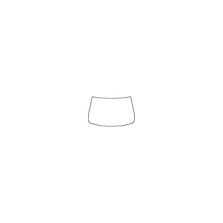 Windshield (outside)