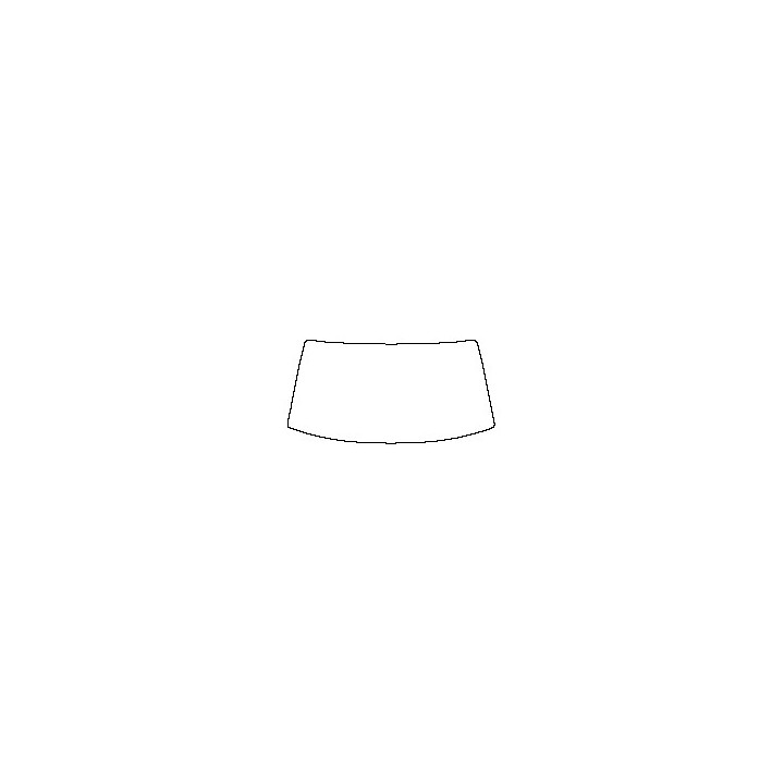 Windshield (inside)