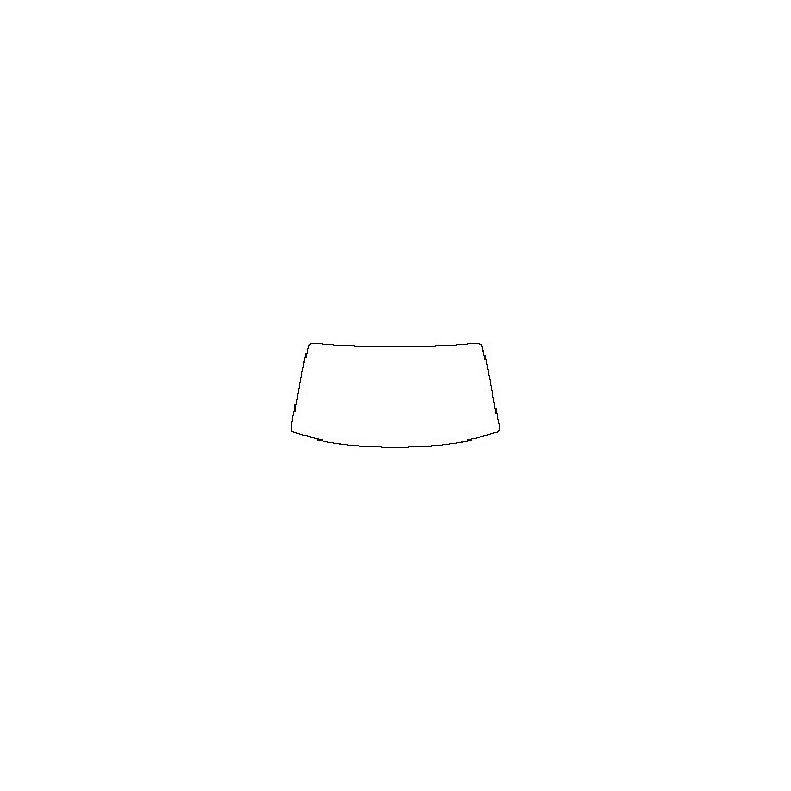 Windshield (inside)