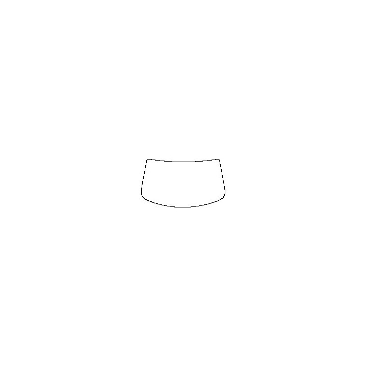 Windshield (inside)