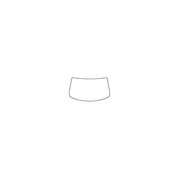 Windshield (inside)