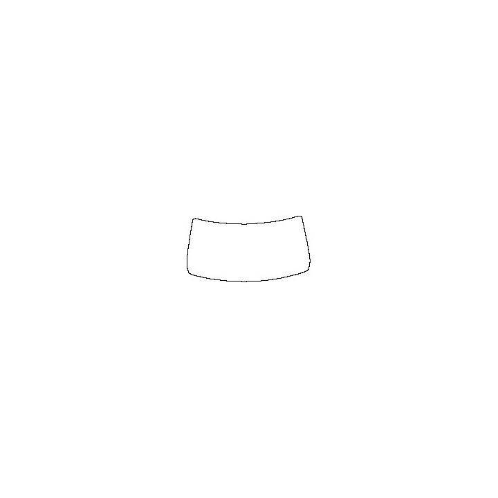 Windshield